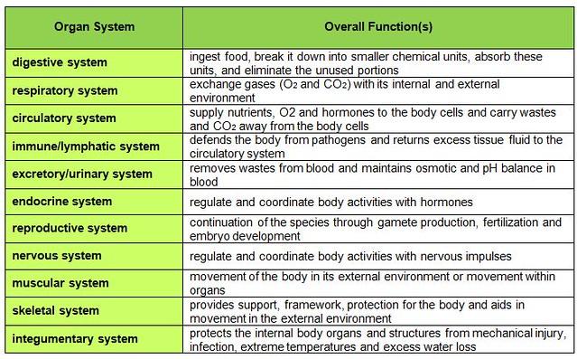 Using⁣ Basic Functions and Features