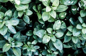 How to Use Betty Crocker Points