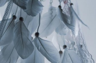 How to Use Dreamweaver