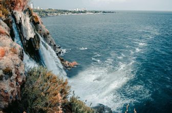 How to Use a Turkey Call