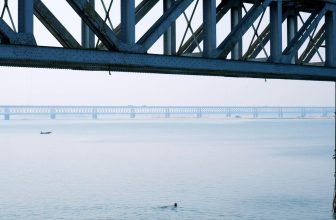 How to Use a Iron Sight