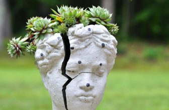 How to Use a Ceramic Briquettes