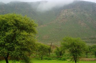 How to Use a Thill Slip Float