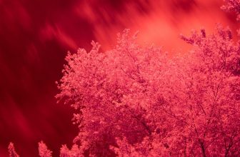 How to Use Microsoft Outlook