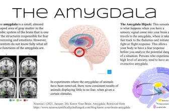How to Use Hijackthis