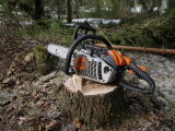How to Use a Chainsaw